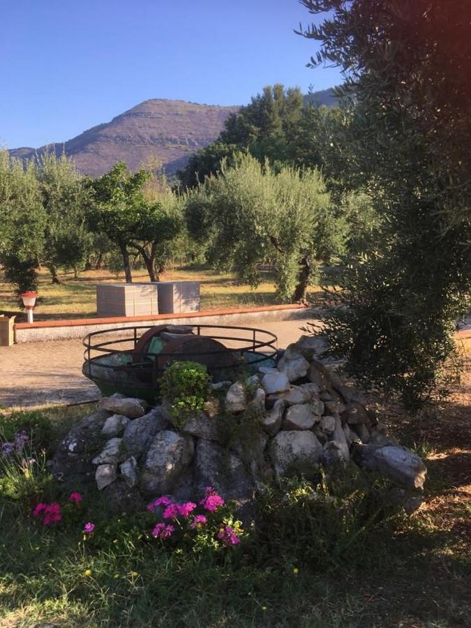 Гостевой дом Casa Fra Gli Ulivi Di Giuseppe Sonnino Экстерьер фото