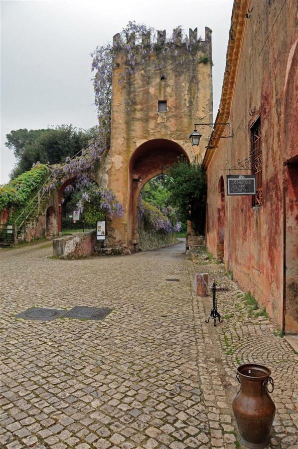 Гостевой дом Casa Fra Gli Ulivi Di Giuseppe Sonnino Экстерьер фото